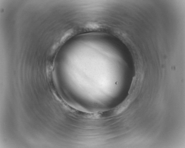 X0000052940576200507221150