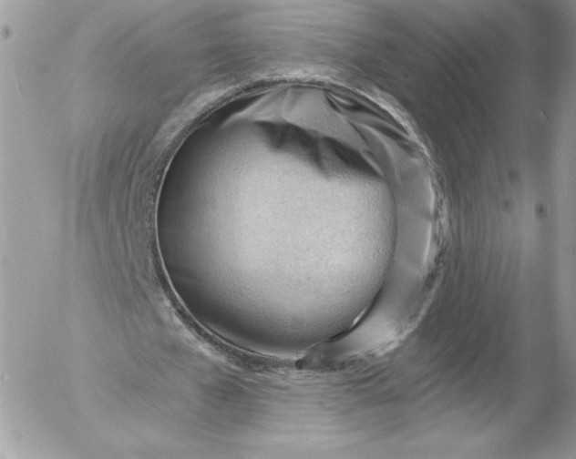 X0000052940577200507221149