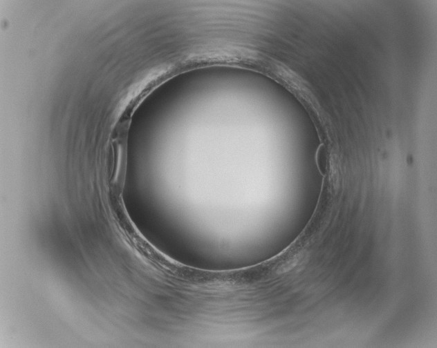 X0000052940578200507221149