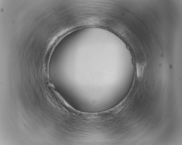 X0000052940579200507221149