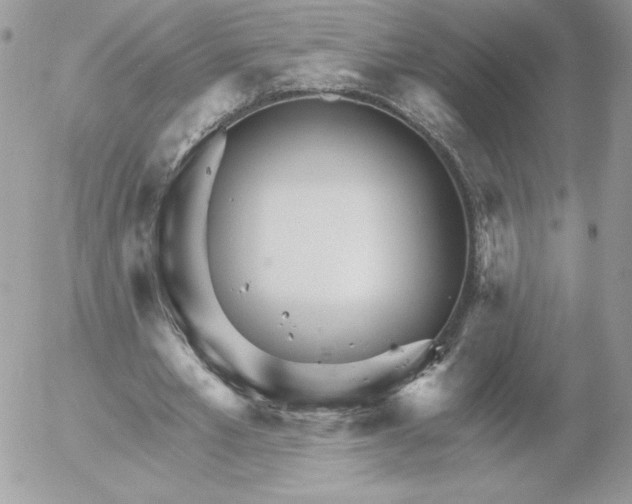 X0000052940581200507221149