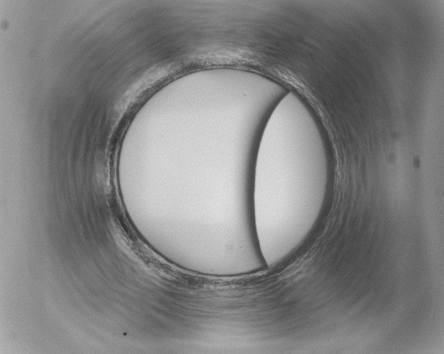 X0000052940582200507221149