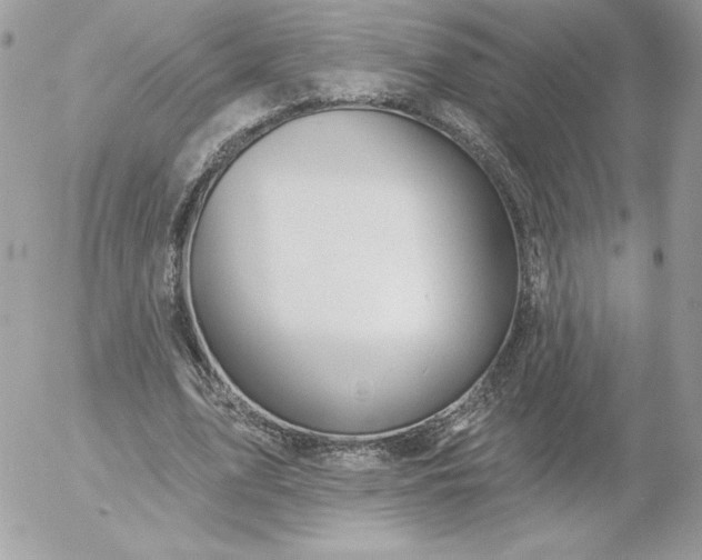 X0000052940583200507221149