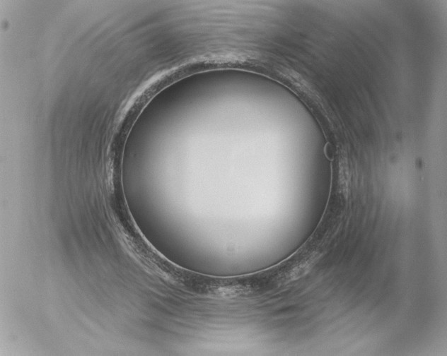 X0000052940584200507221149