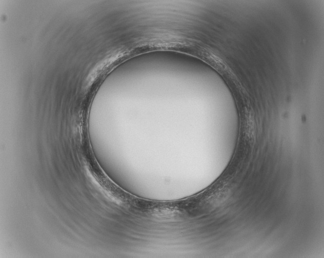 X0000052940586200507221149