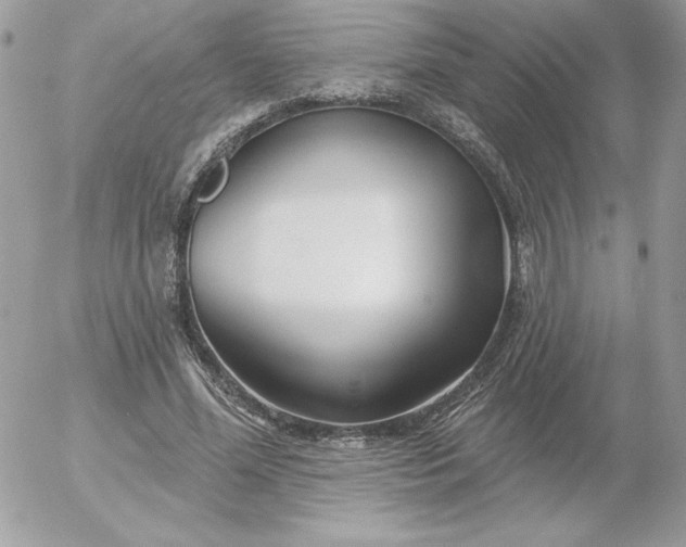 X0000052940588200507221149