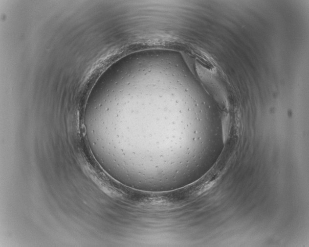 X0000052940589200507221149