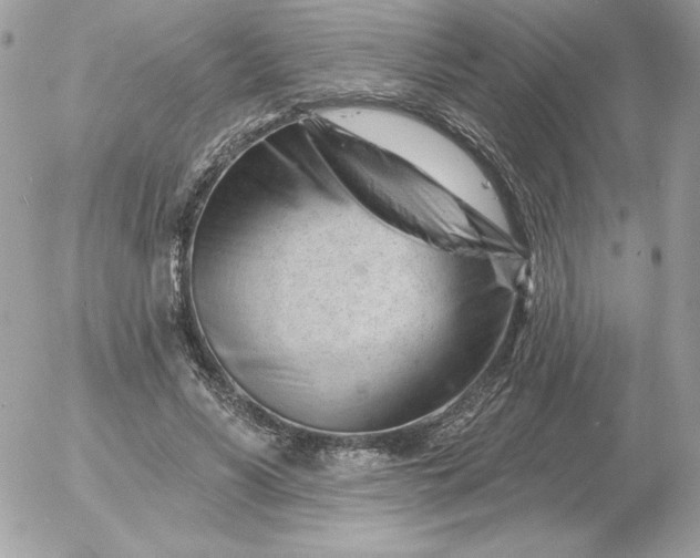 X0000052940590200507221149