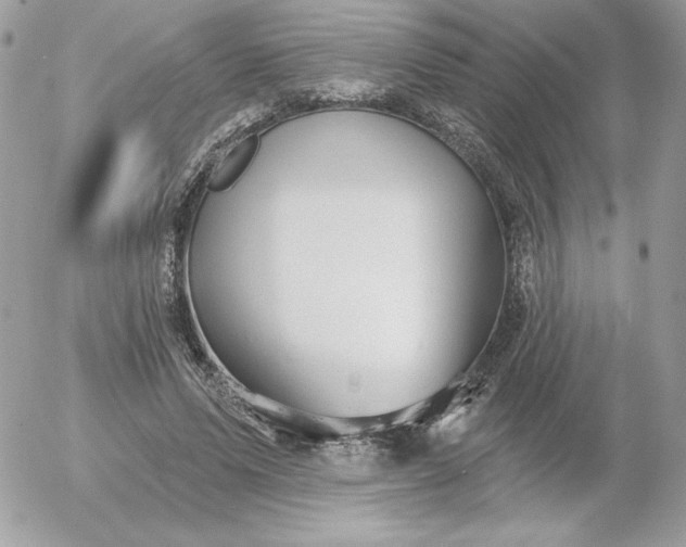 X0000052940591200507221149