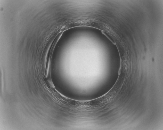 X0000052940593200507221148