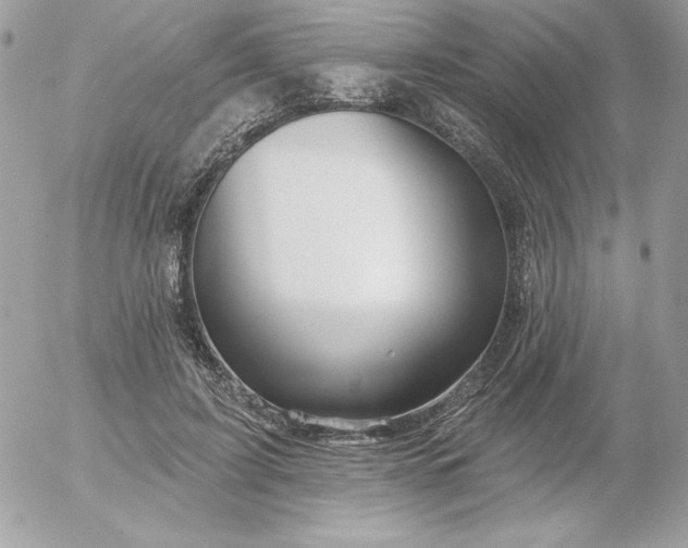 X0000052940595200507221148