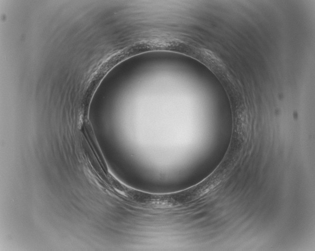 X0000052940596200507221148