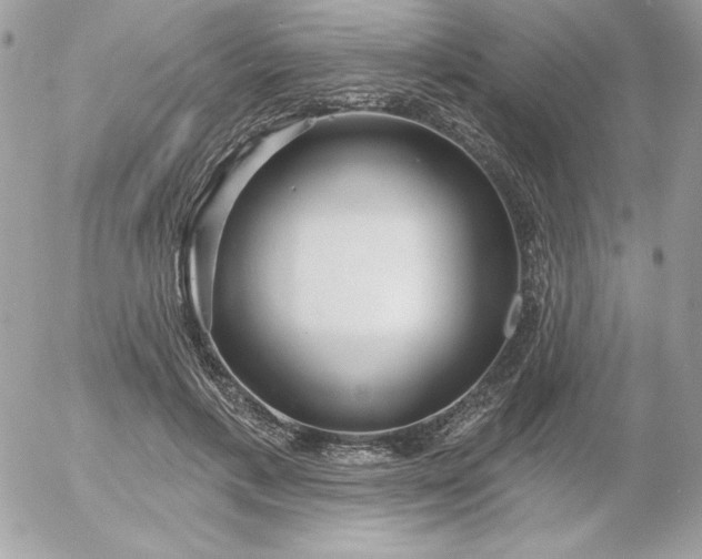 X0000052940597200507221148