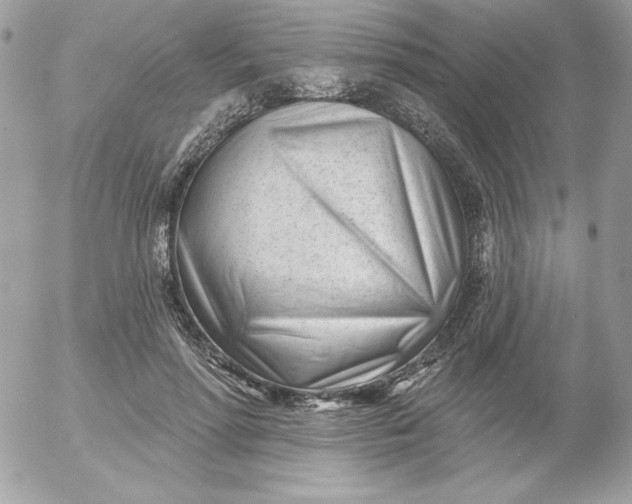 X0000052940598200507221148