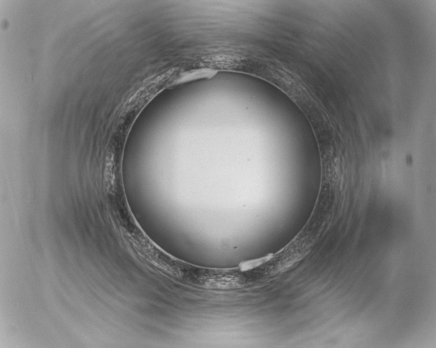 X0000052940599200507221148