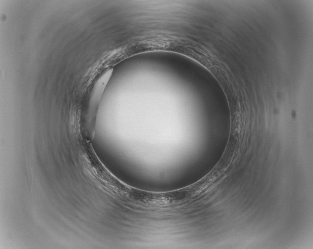 X0000052940600200507221148