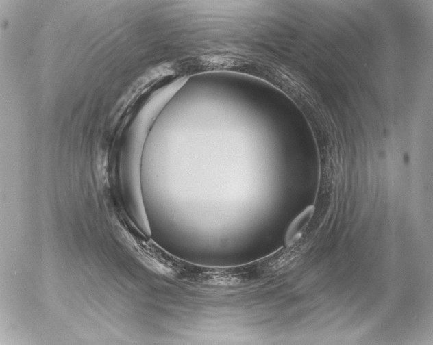 X0000052940601200507221148