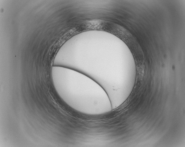 X0000052940602200507221148