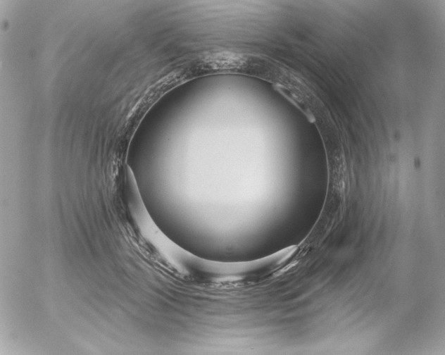 X0000052940604200507221148