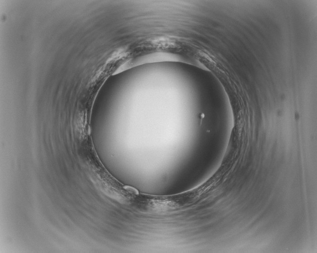 X0000052940605200507221148