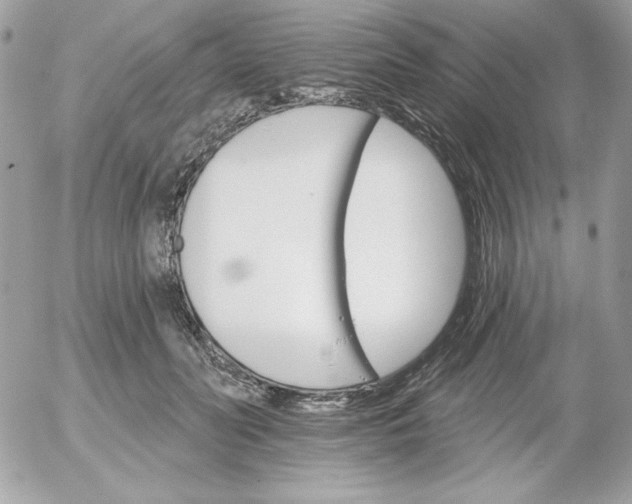 X0000052940606200507221148