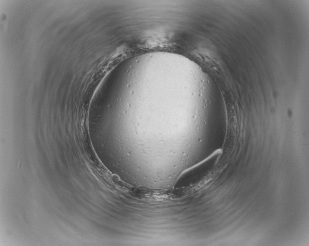 X0000052940607200507221148