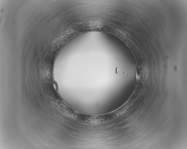 X0000052940608200507221148