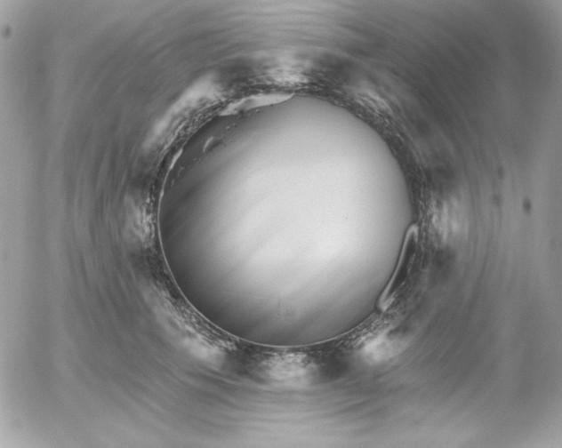 X0000052940609200507221148