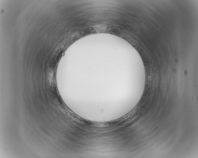 X0000052940610200507221148