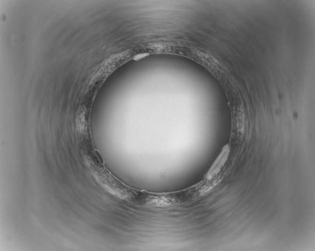 X0000052940611200507221148