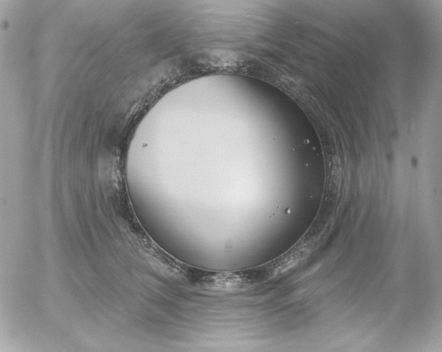 X0000052940612200507221148