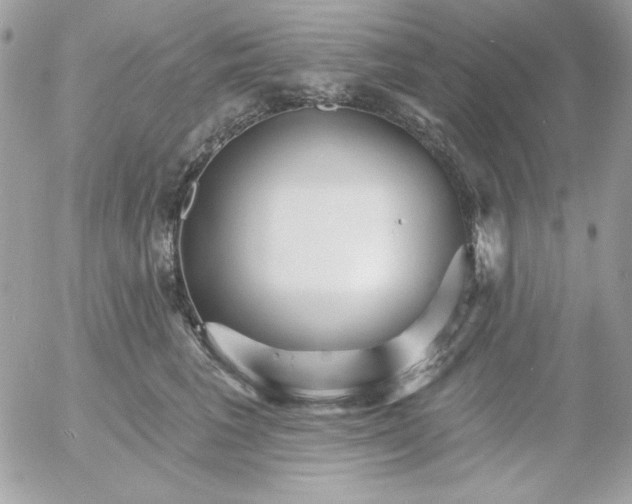 X0000052940613200507221148