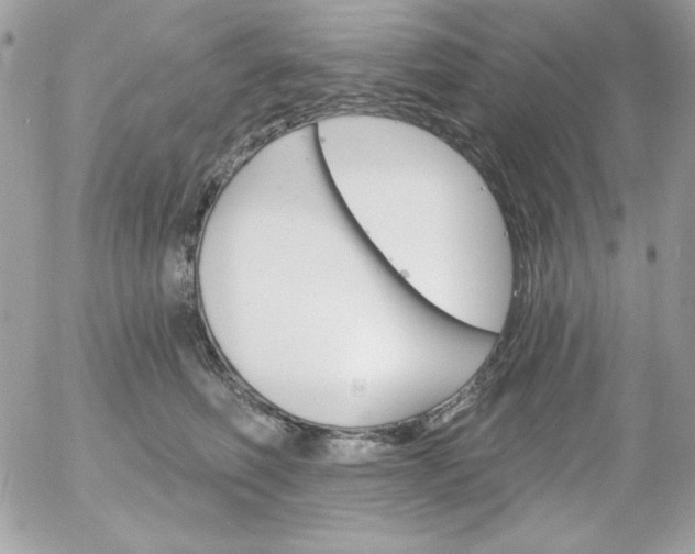 X0000052940614200507221148