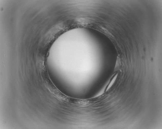 X0000052940615200507221148