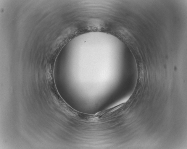 X0000052940616200507221148