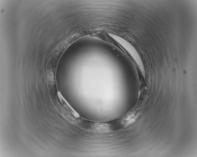 X0000052940617200507221148