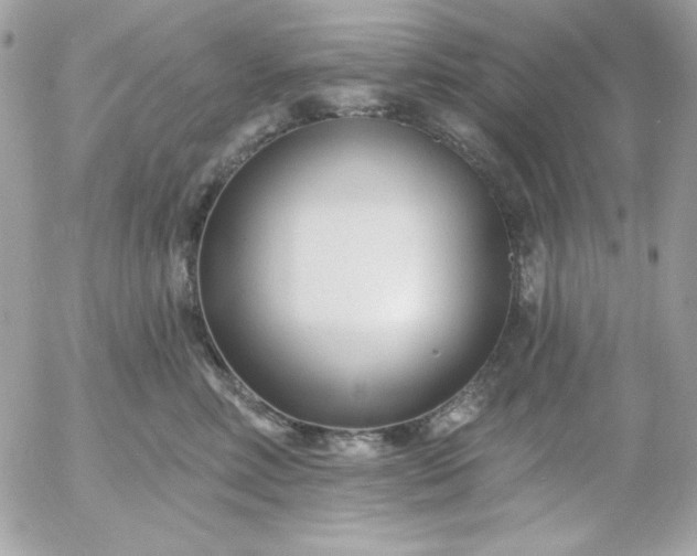 X0000052940618200507221148