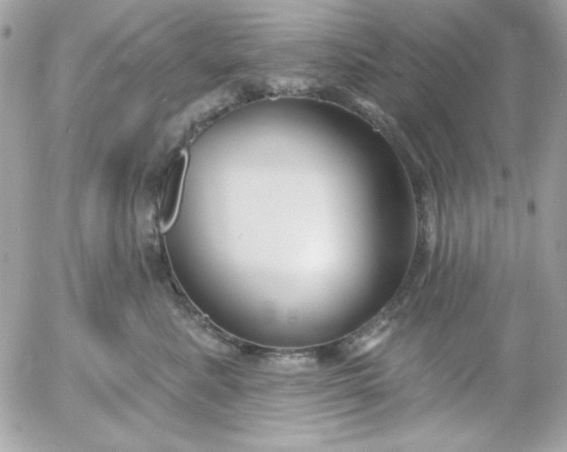 X0000052940619200507221148