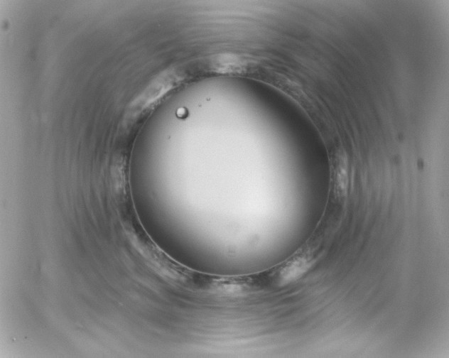 X0000052940620200507221148