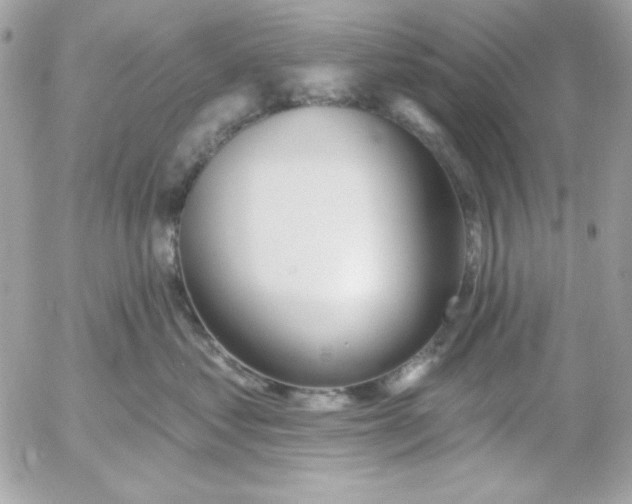 X0000052940621200507221148