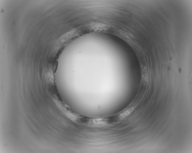 X0000052940622200507221148