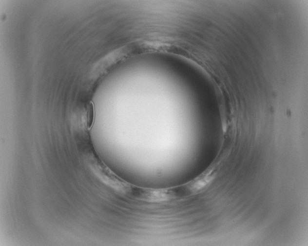 X0000052940623200507221148