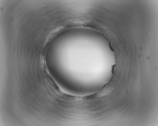 X0000052940624200507221148