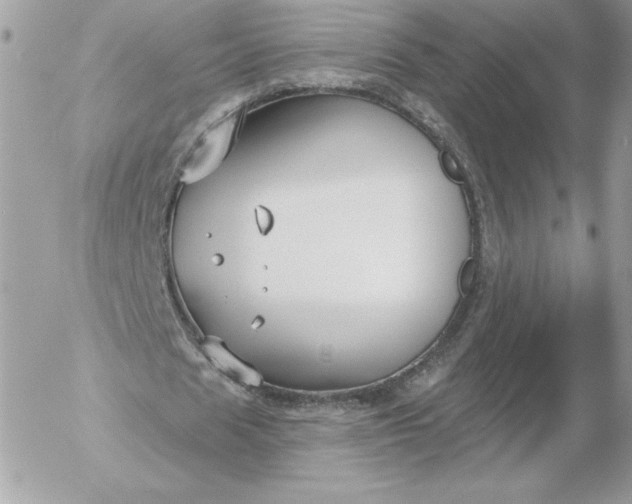 X0000052940625200507221147