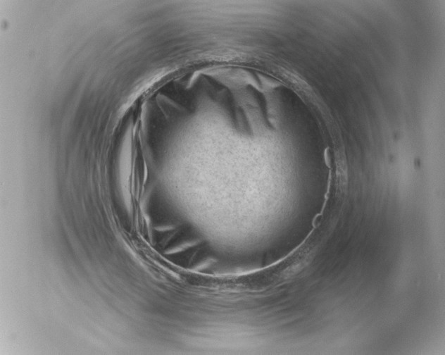 X0000052940626200507221147