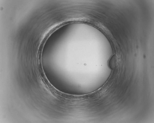 X0000052940628200507221147