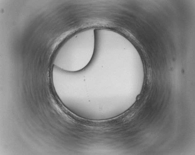 X0000052940629200507221147