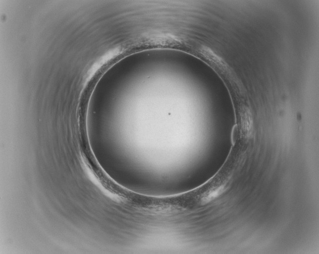 X0000052940630200507221147