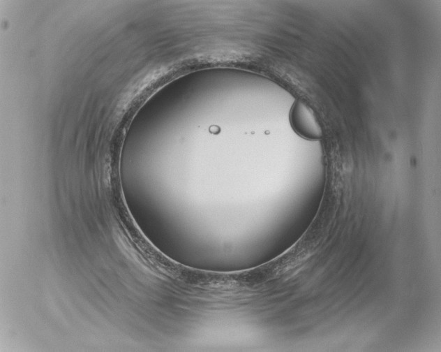 X0000052940631200507221147