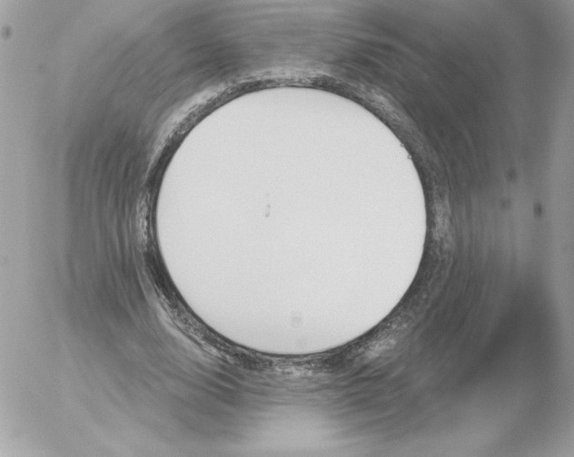 X0000052940632200507221147